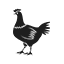 肉禽设备案例