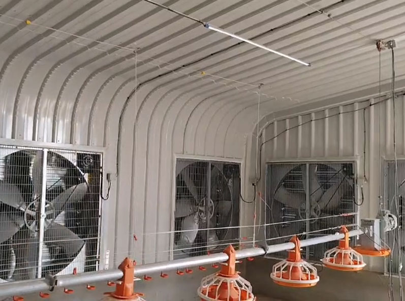 沙特肉鸡平养项目