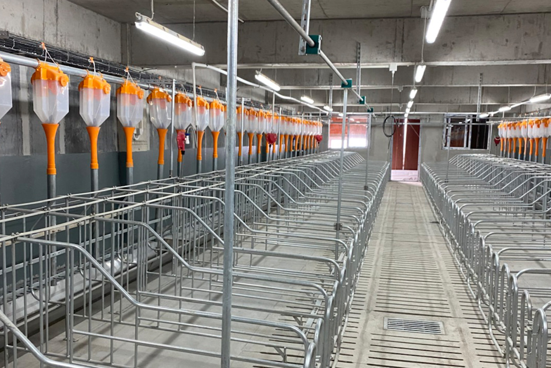 常熟德康楼房猪场养殖项目